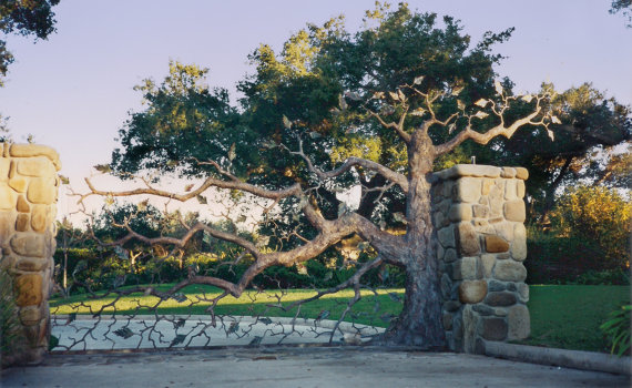 Hand Forged Majestic Mighty Oak Tree Rustic Driveway Estate Gate